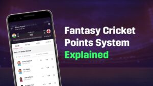 What are the IPL fantasy points systems